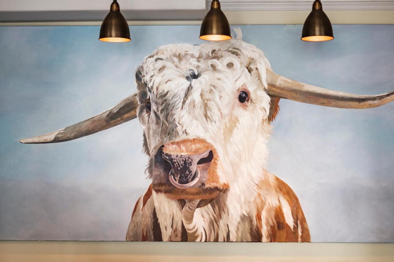 The Bull Bridport